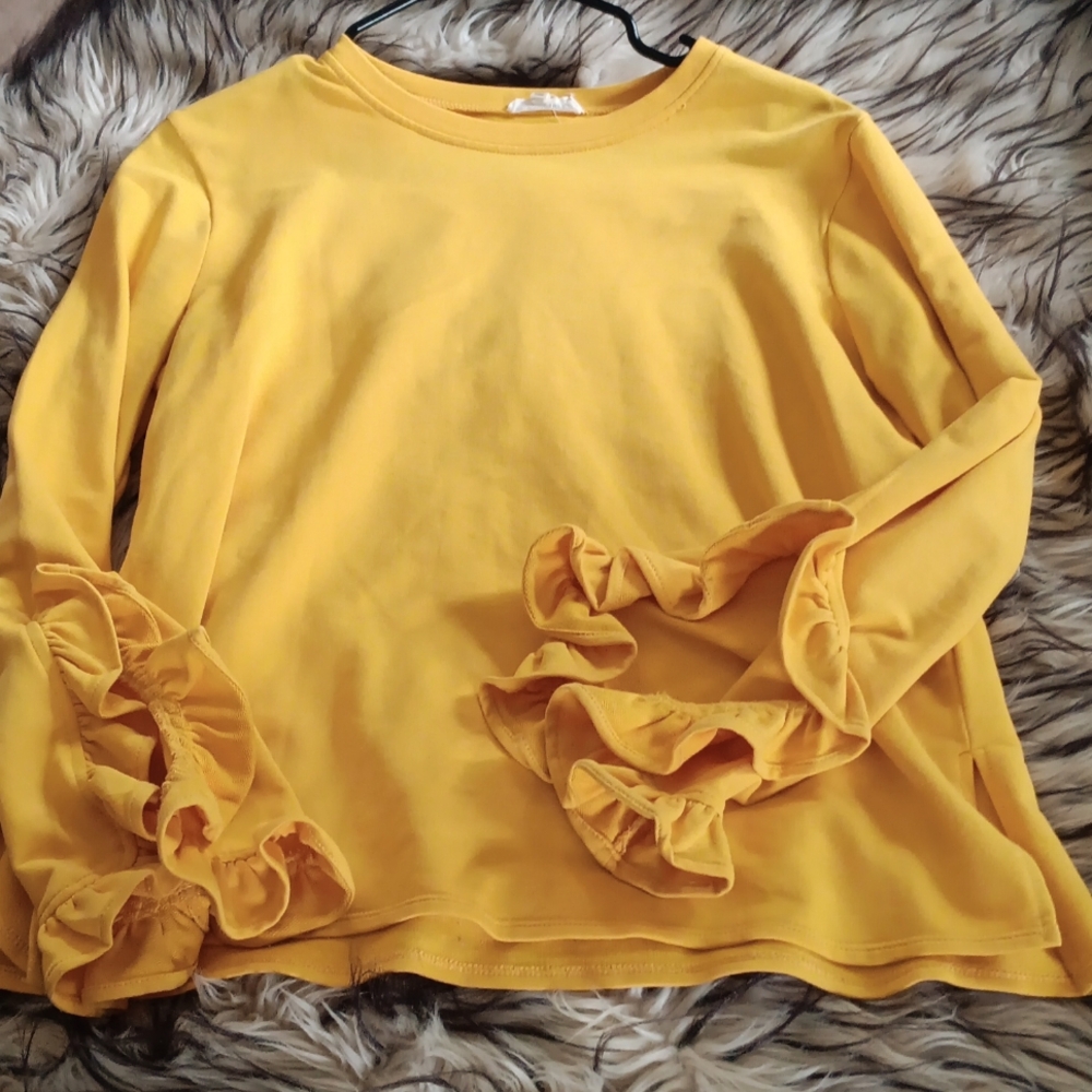 BLUSHING HEART unique  ruffle sleeve top